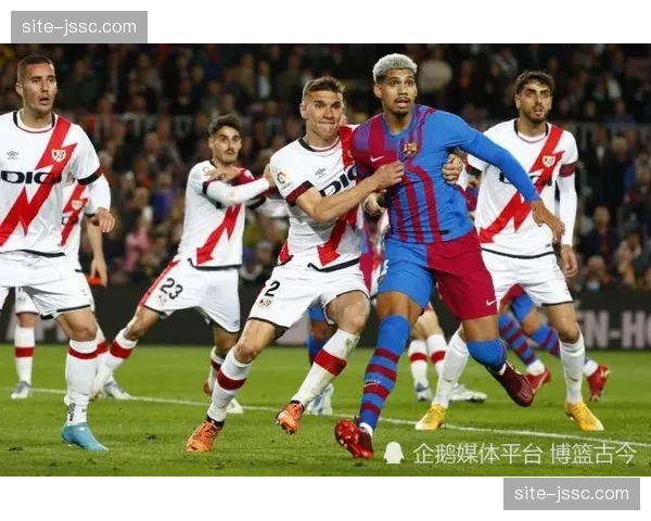 伤病历史与近期健康状况 世界杯前最后阶段需重点监控